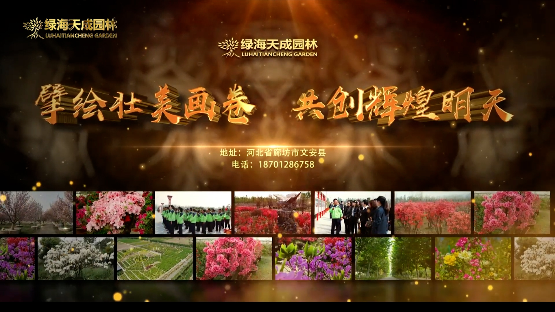 �G����Ɉ@������Ƭ 2024